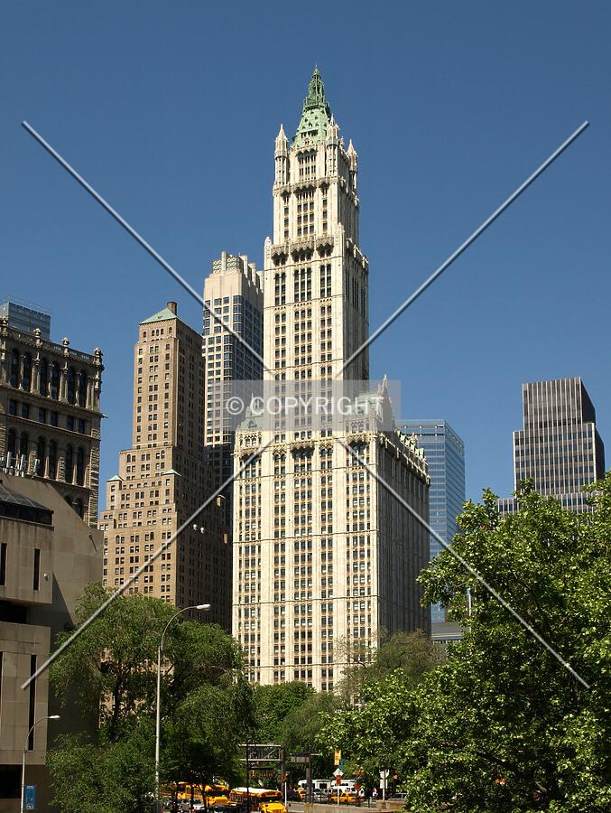 View from the east