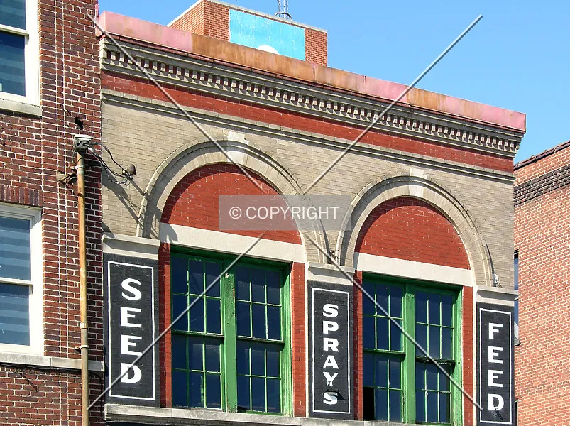 Photo 379-736-116