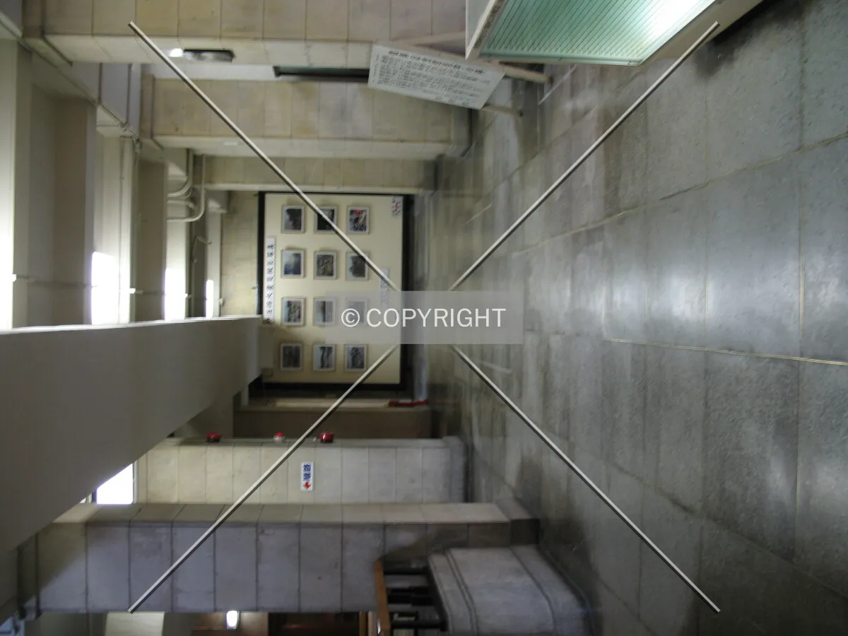 Photo 380-317-161
