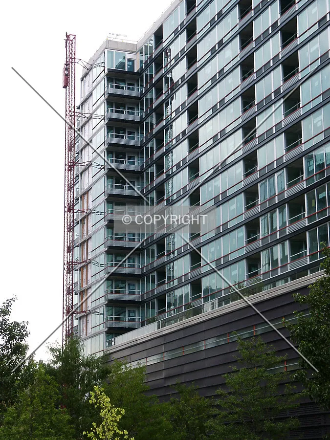 East side from Elgin Road
