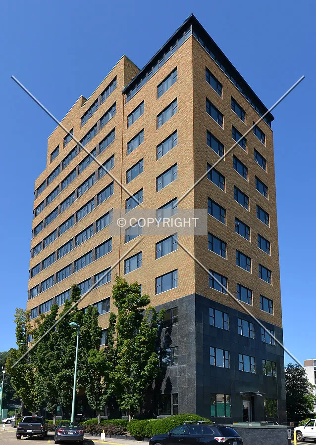 View from the east