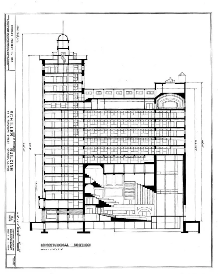 Longitudinal Section