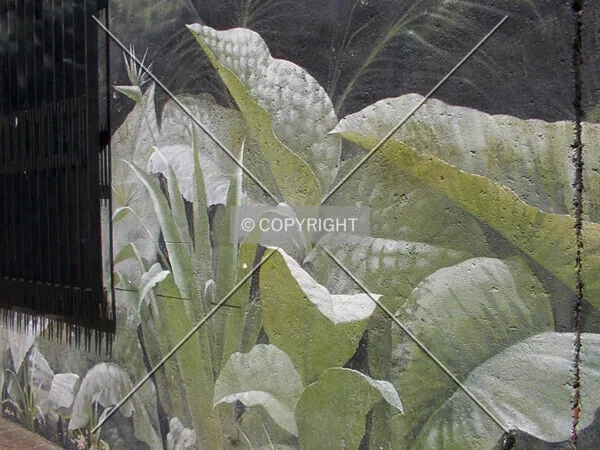 Photo 038-179-003