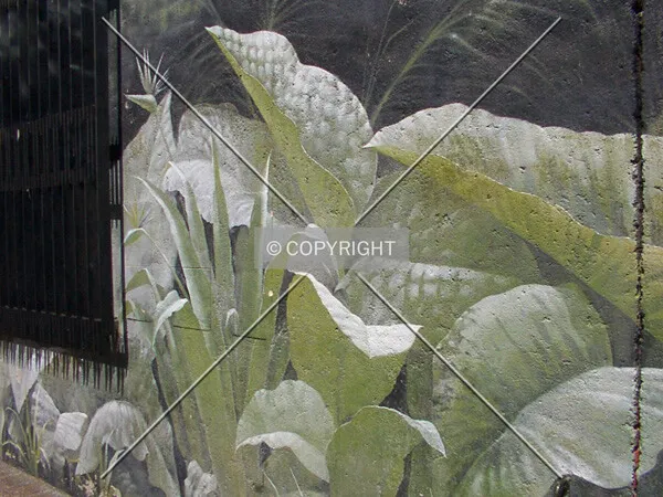 Detail of the jungle mural