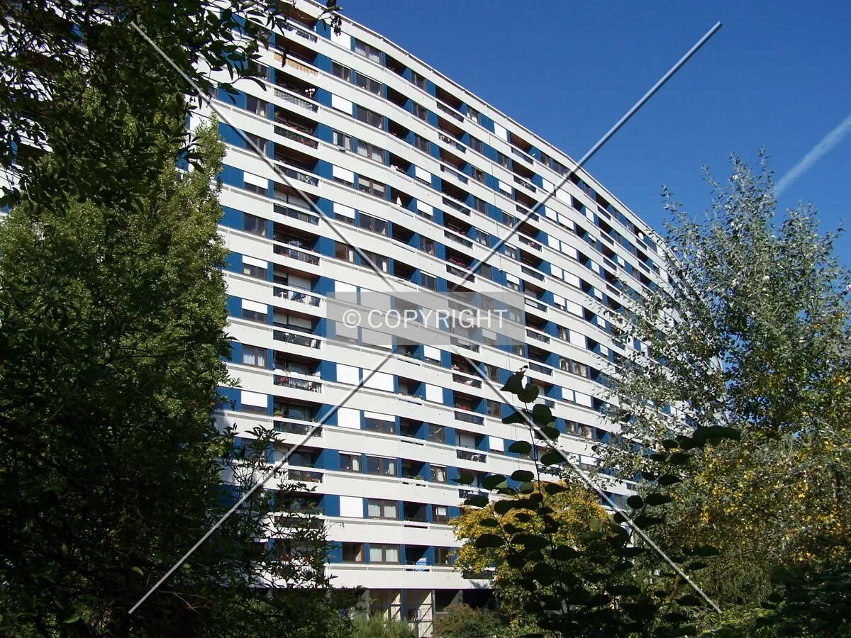 The south side