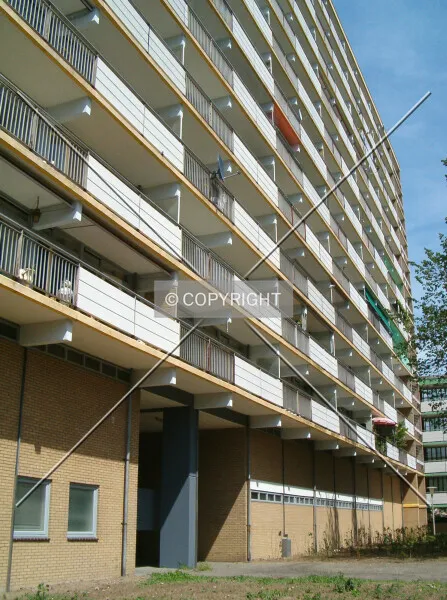 Photo 382-079-224