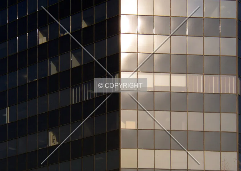 Photo 382-197-306