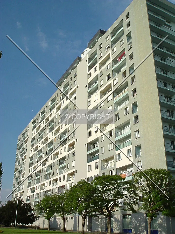 Photo 038-240-919