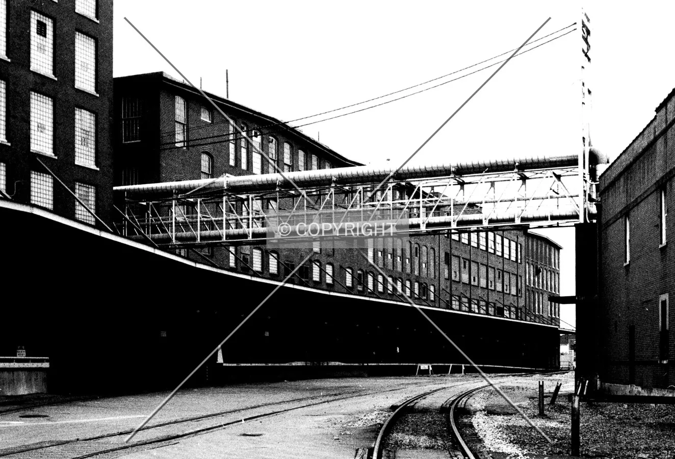 Photo 383-360-441
