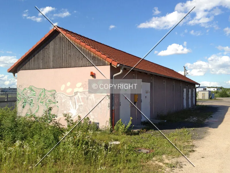 Photo 384-237-786