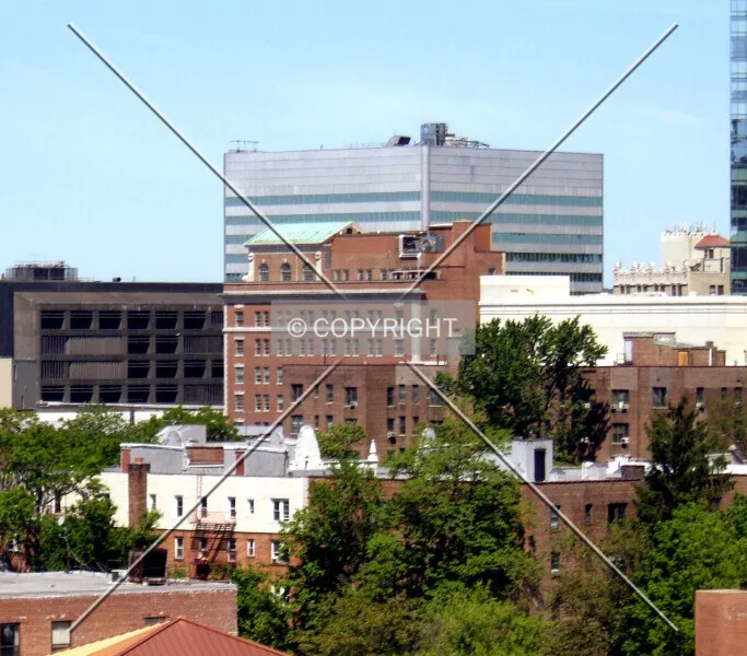 Photo 384-519-798