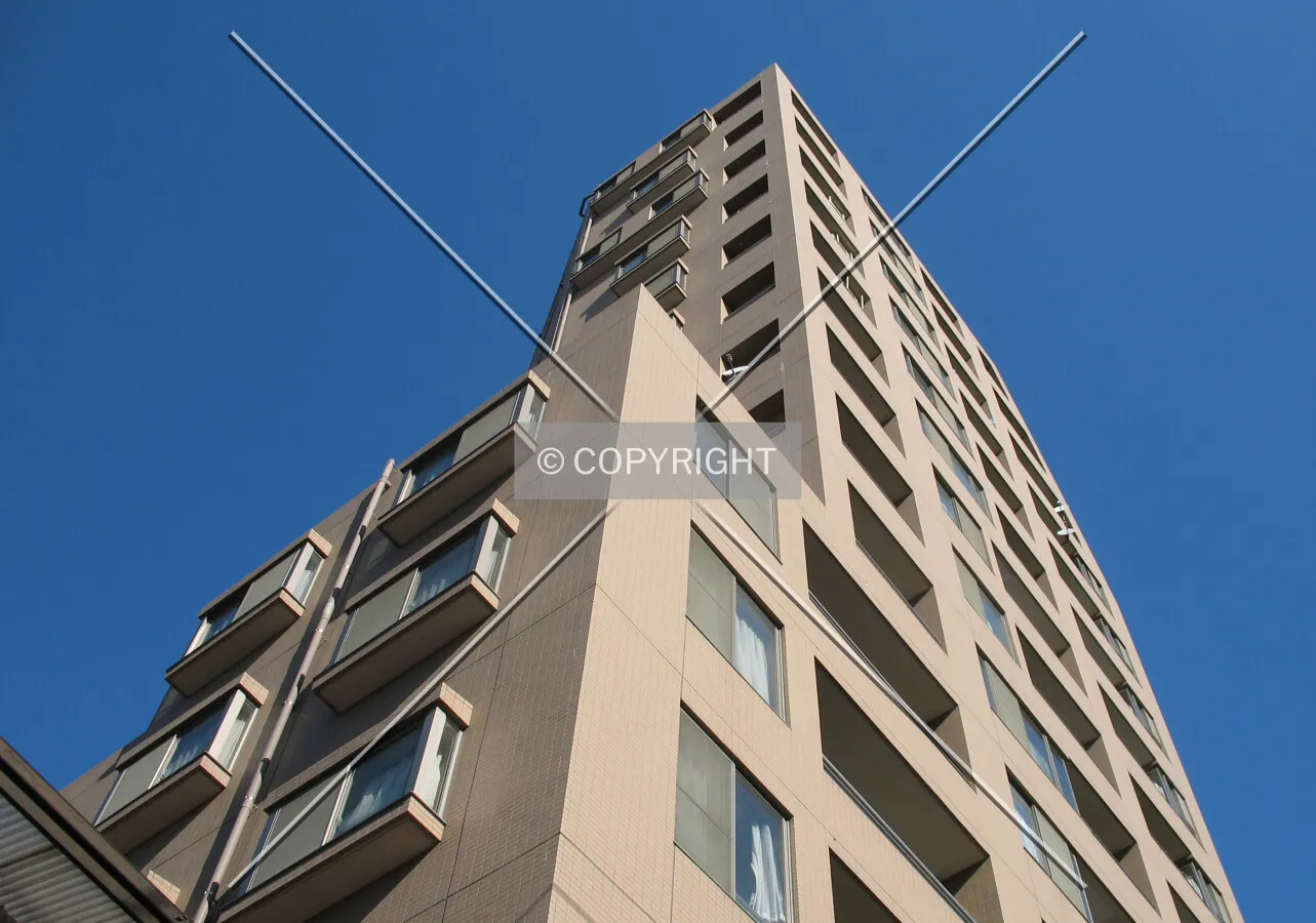 Looking up from the south