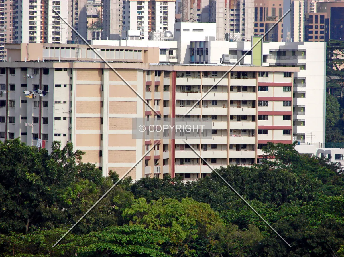View from the west