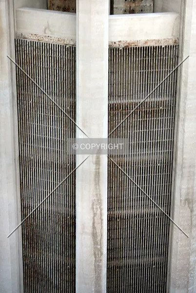 Photo 384-836-769