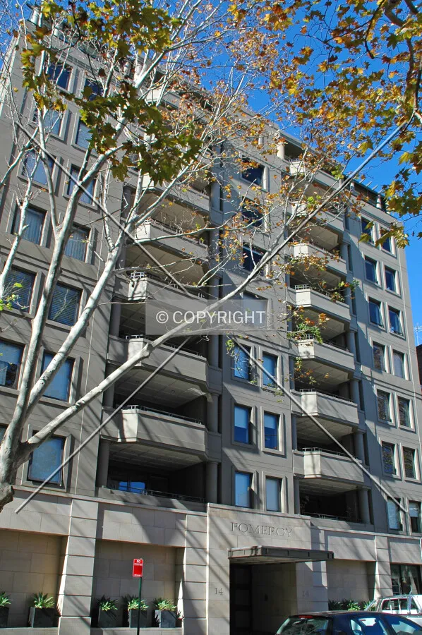 Looking up from Macleay Street