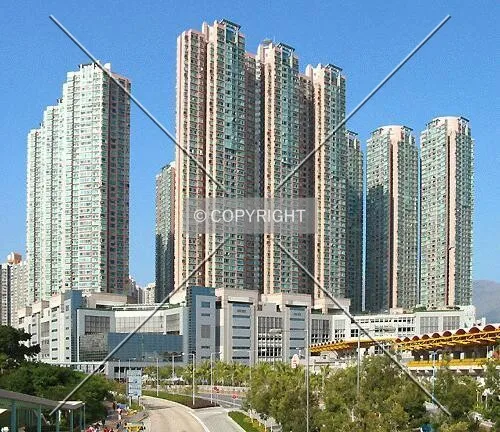 From Tsing King Road
