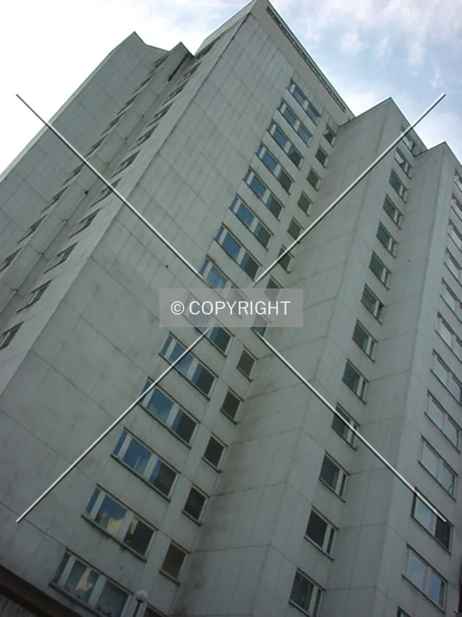 View to the top