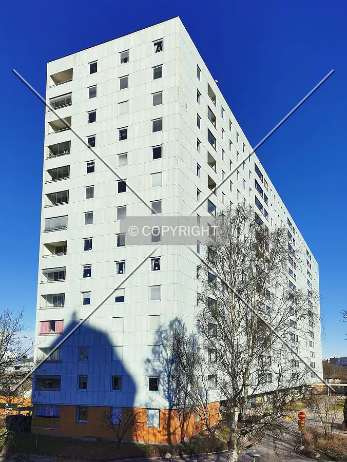 Photo 385-540-831