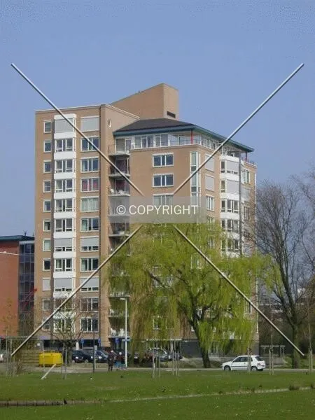 View from the west