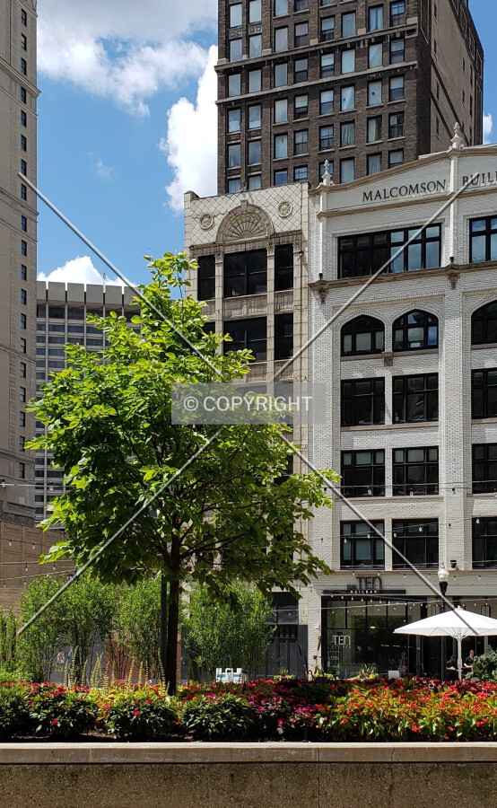 Northeast view; August 10, 2019