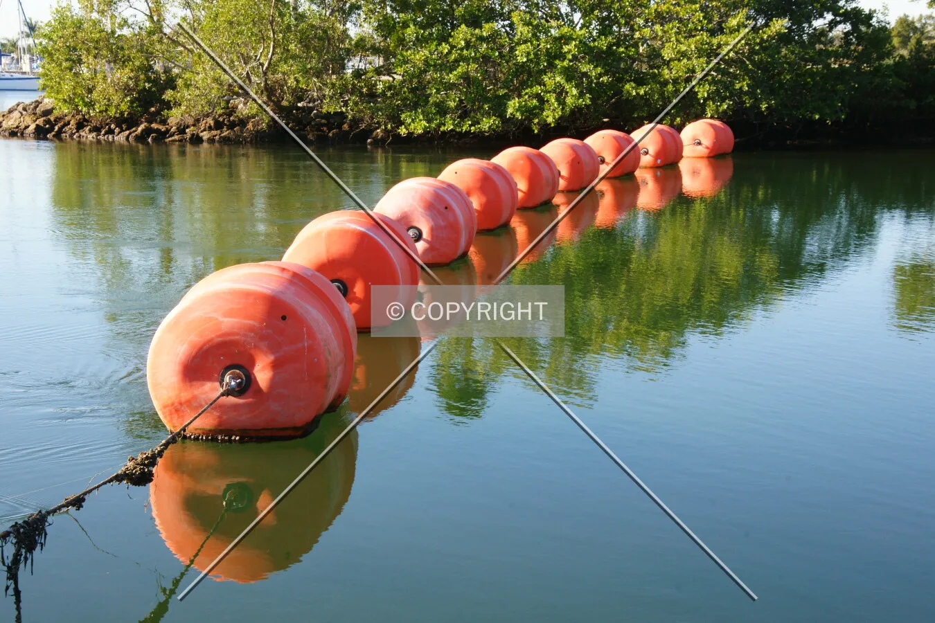 Photo 387-318-246