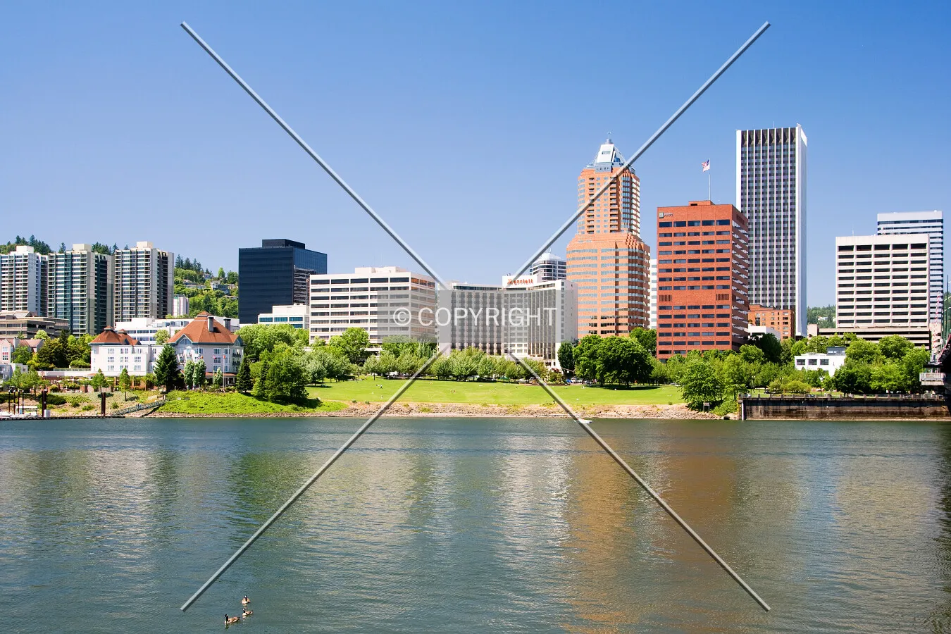 Downtown viewed from across the Willamette River