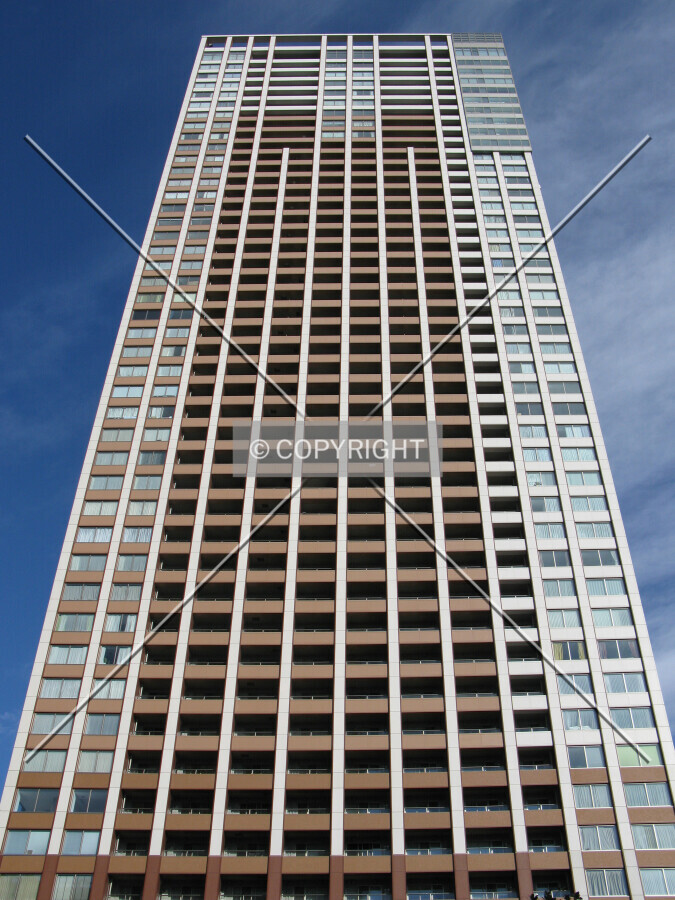 View from the south