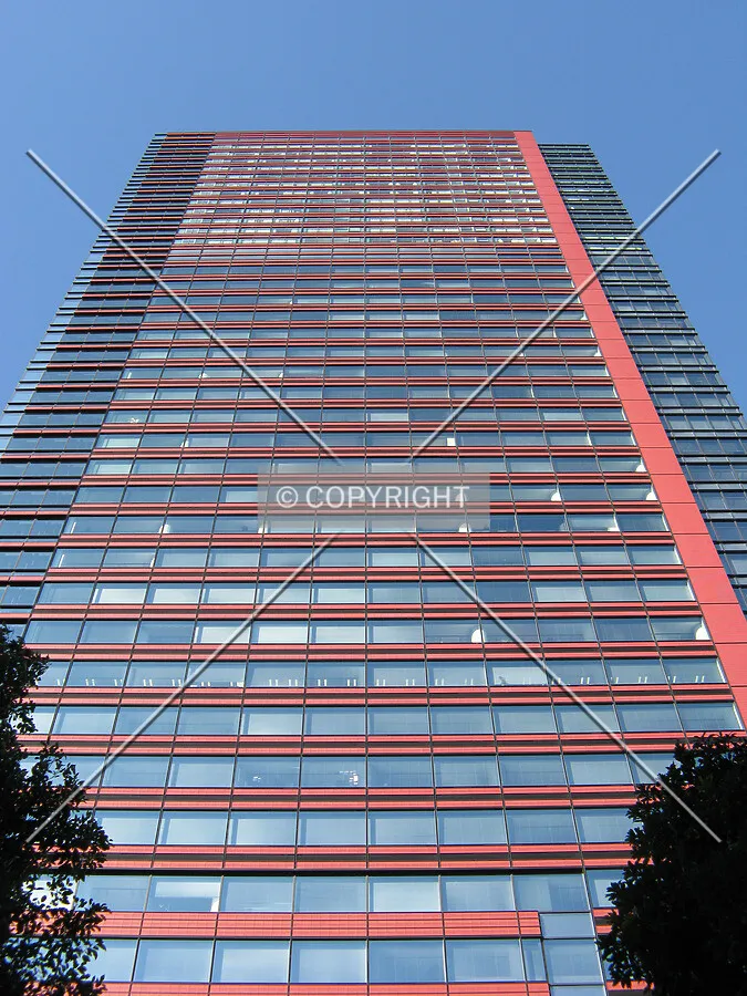 Looking up from the east