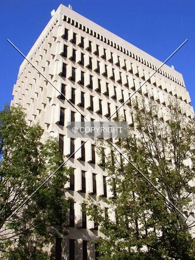 Looking northeast