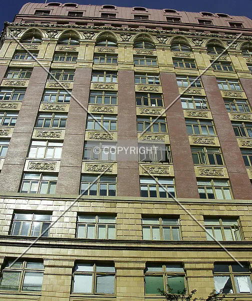 Photo 389-016-987