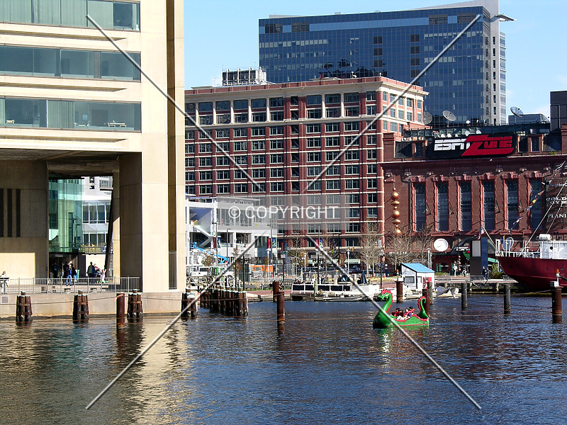 Photo 389-103-653