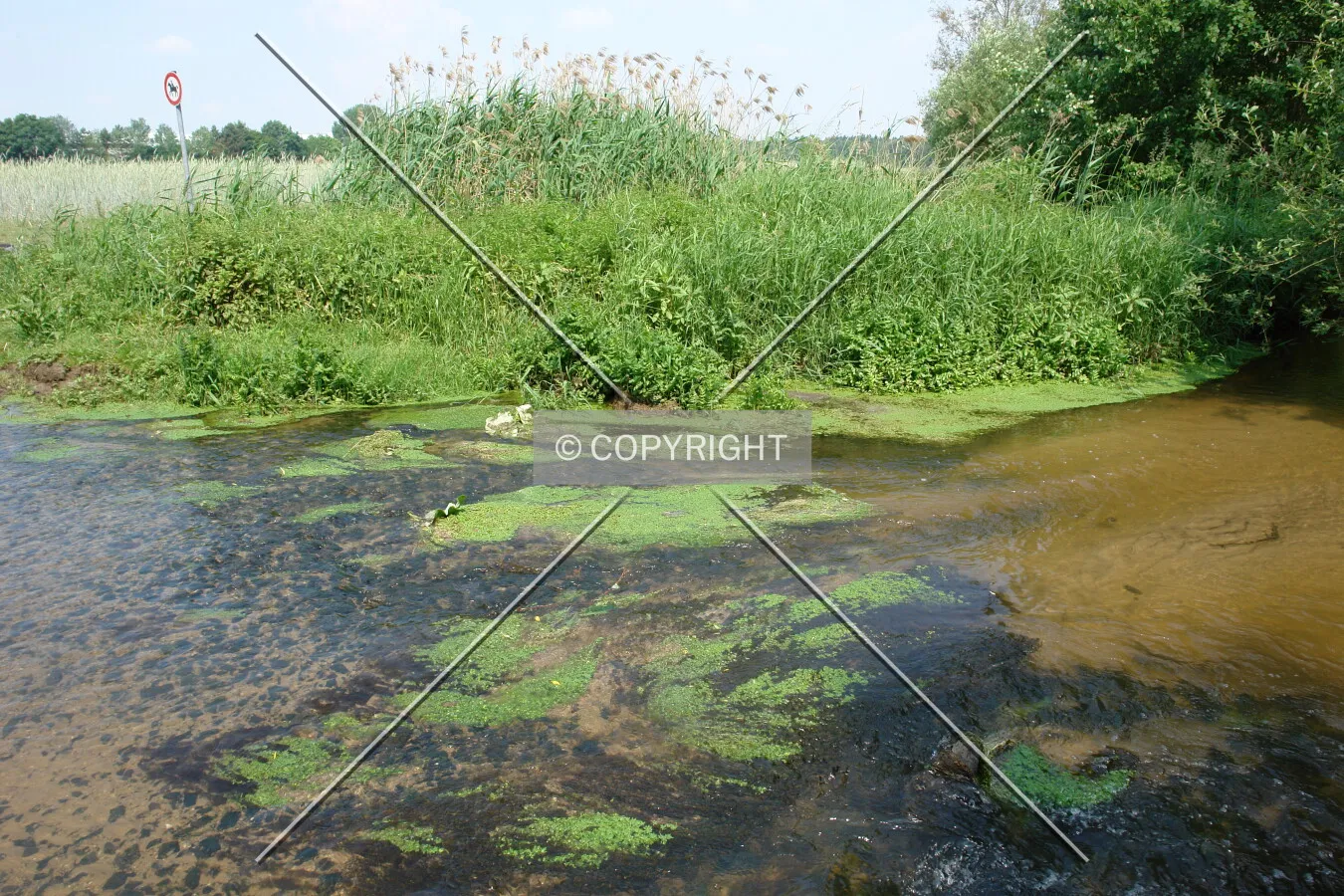 A shallow creek