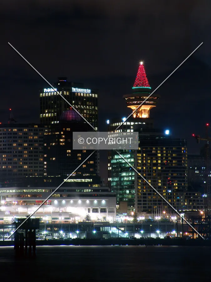 View from Stanley Park when outfitted with its annual Christmas-time feature, lights strung from the pylon