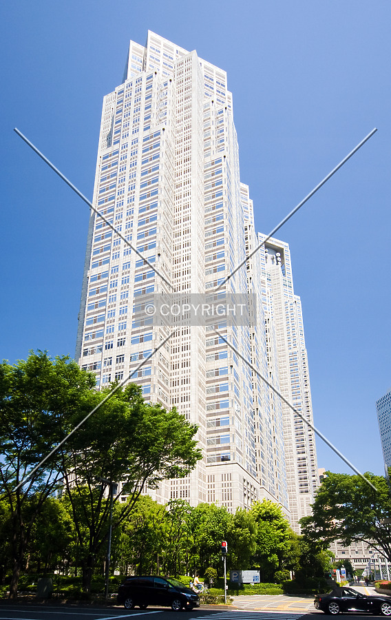 Full height view
