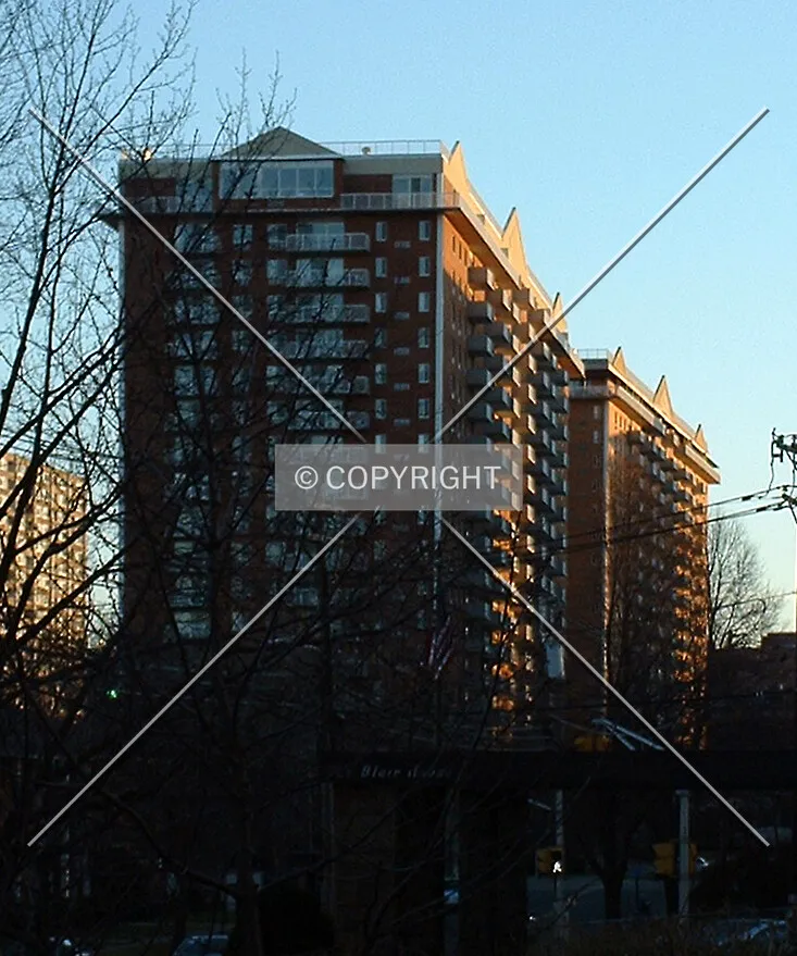 View from the north along Prospect Avenue