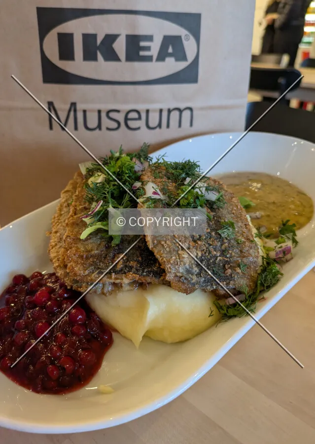 Herring, potatoes, and lingonberries at the museum restaurant