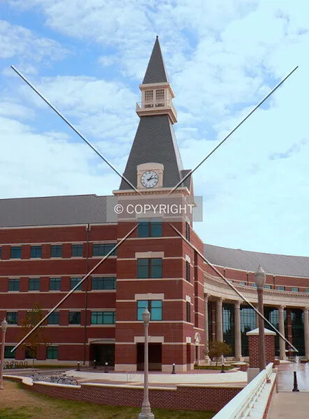 Photo 390-089-662