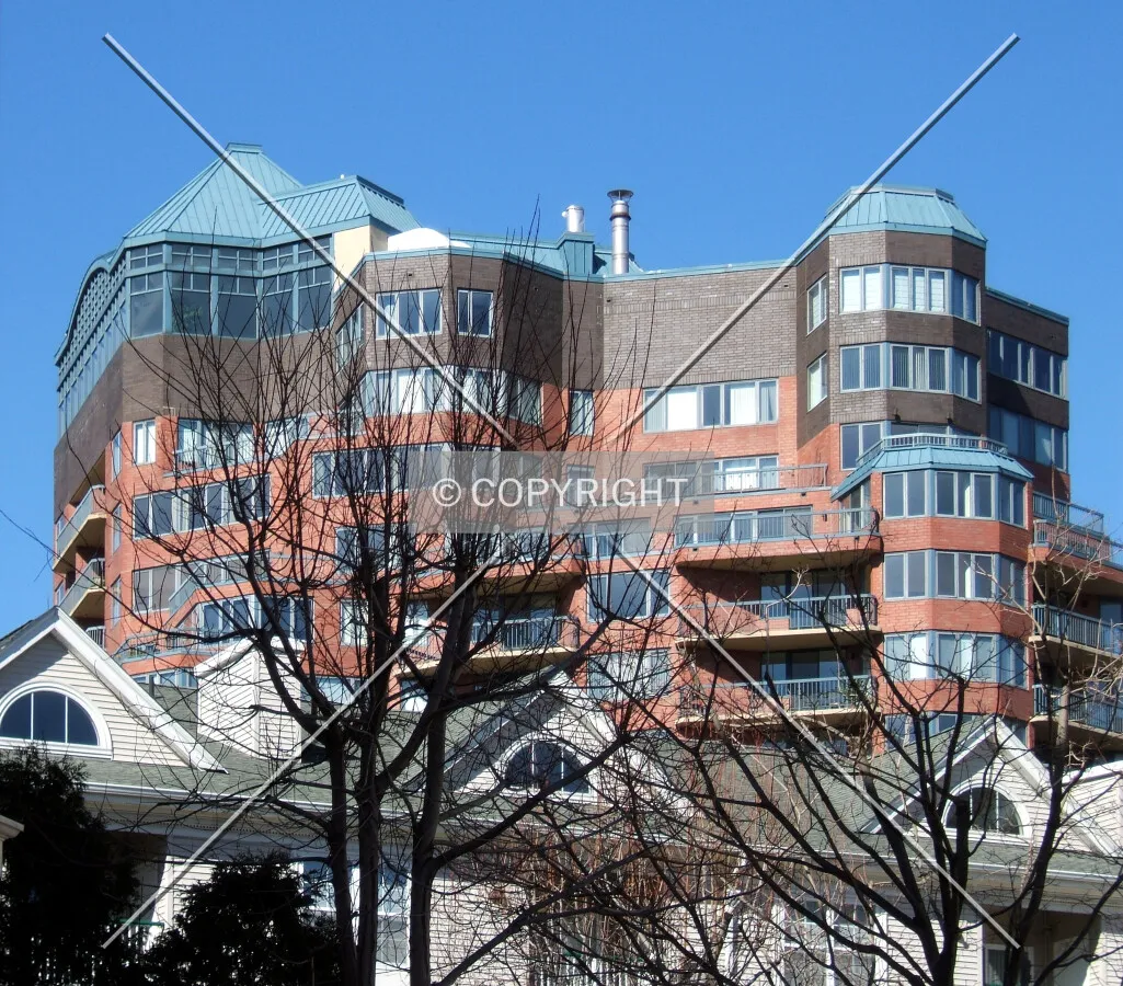 View from the southeast