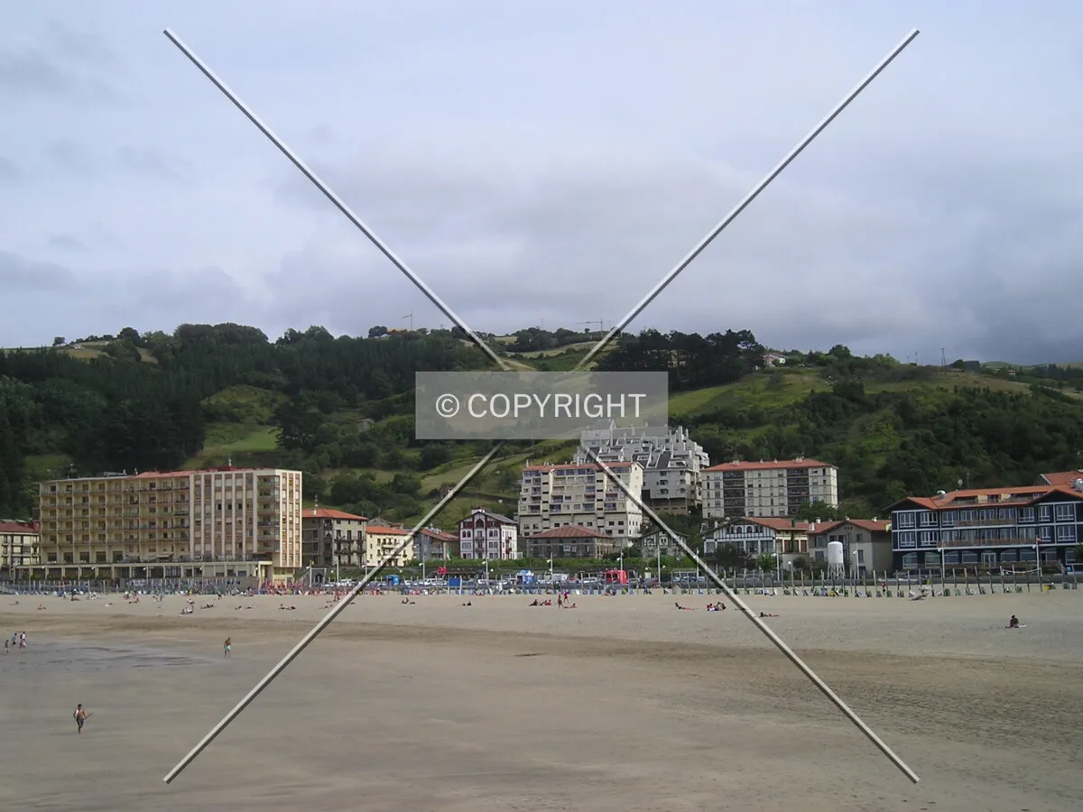 View of the beach area