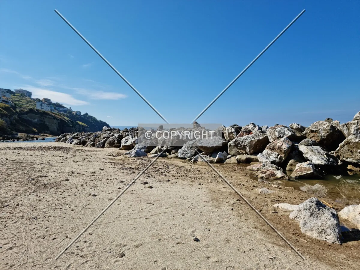 Photo 039-125-431