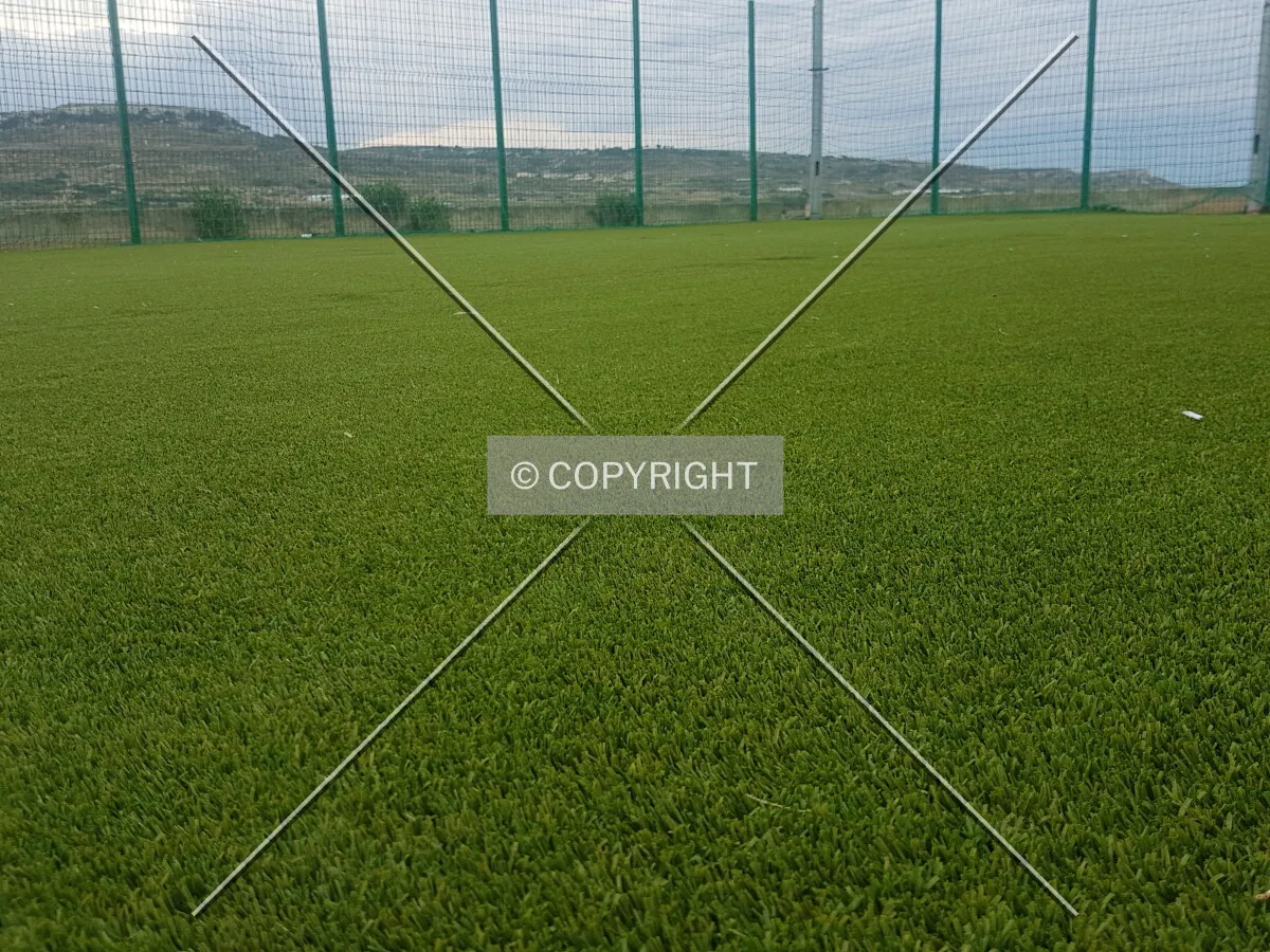 Photo 391-259-425