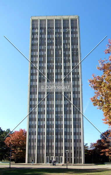 Photo 391-287-977