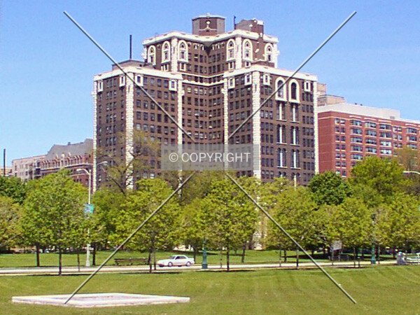 View from Jackson Park