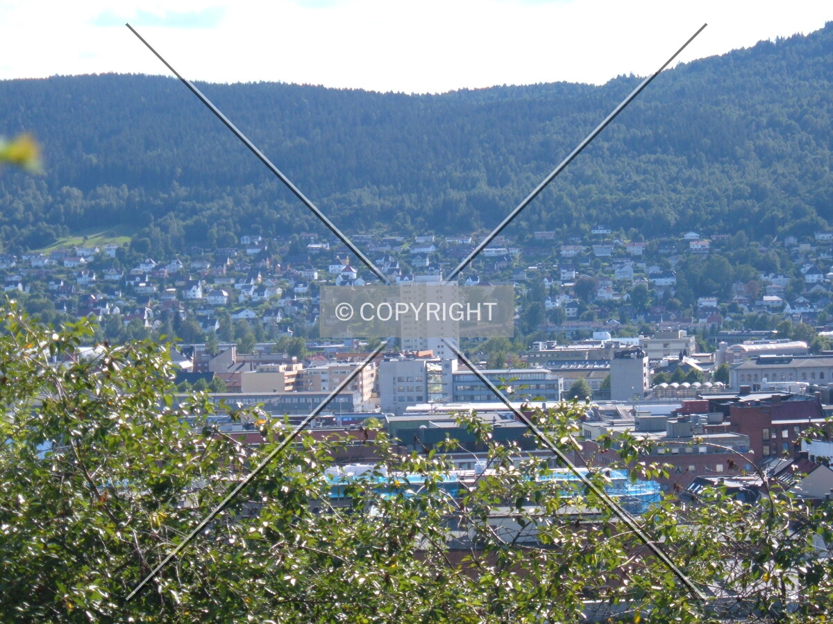View from Bragernesåsen