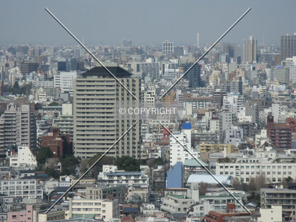 Photo 391-368-294