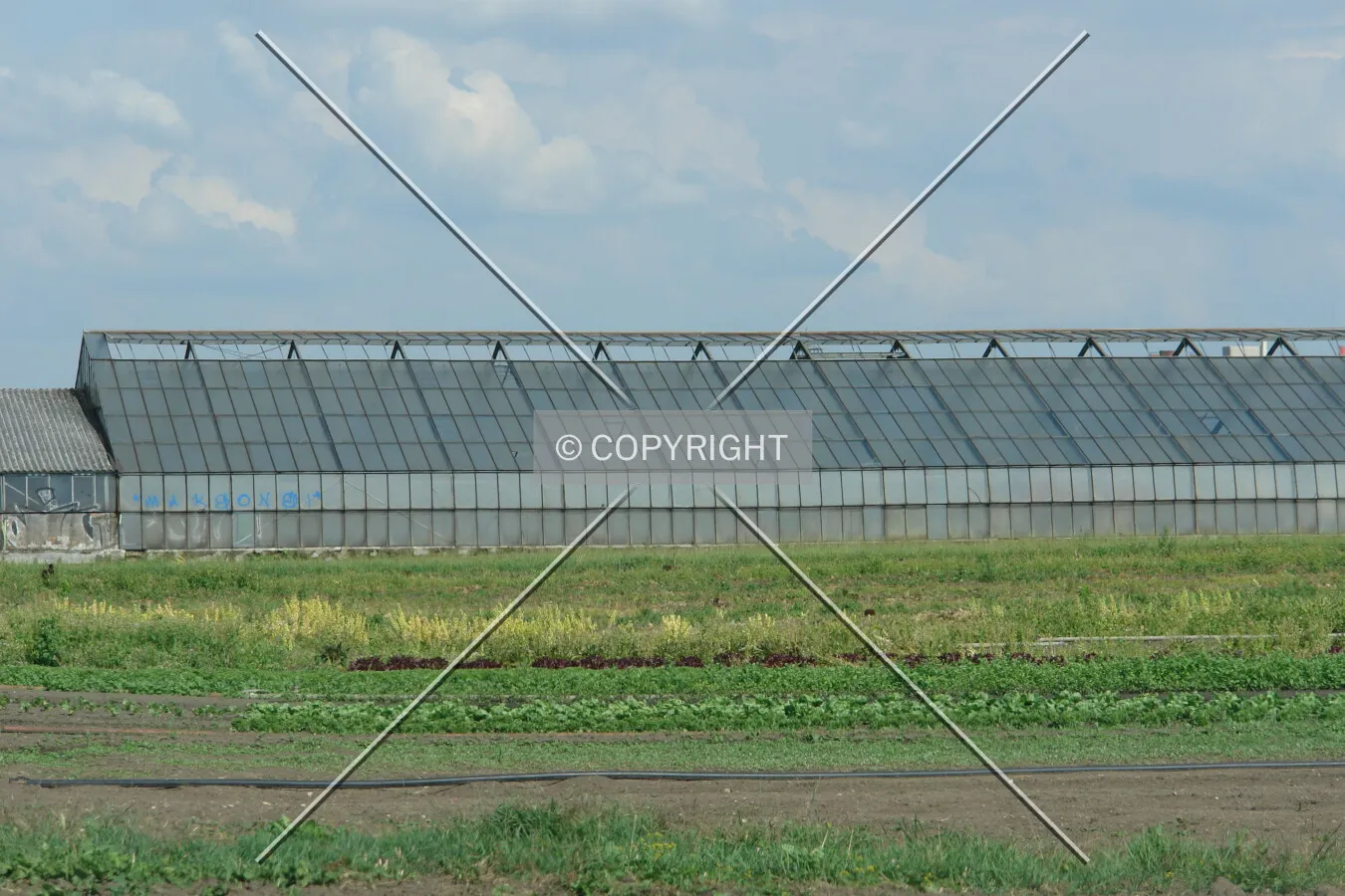 A larger greenhouse