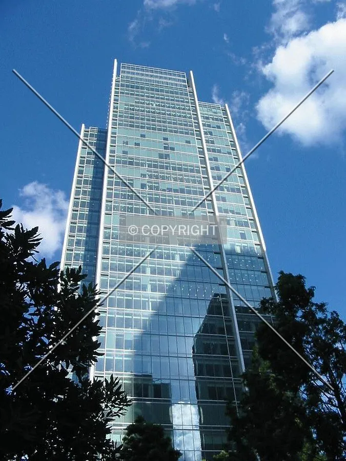 Looking up from Jubilee Park