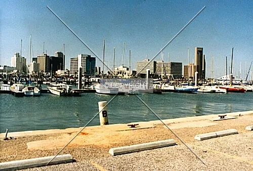 Corpus Christi skyline from T-Head