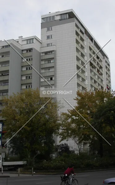 Photo 391-781-459
