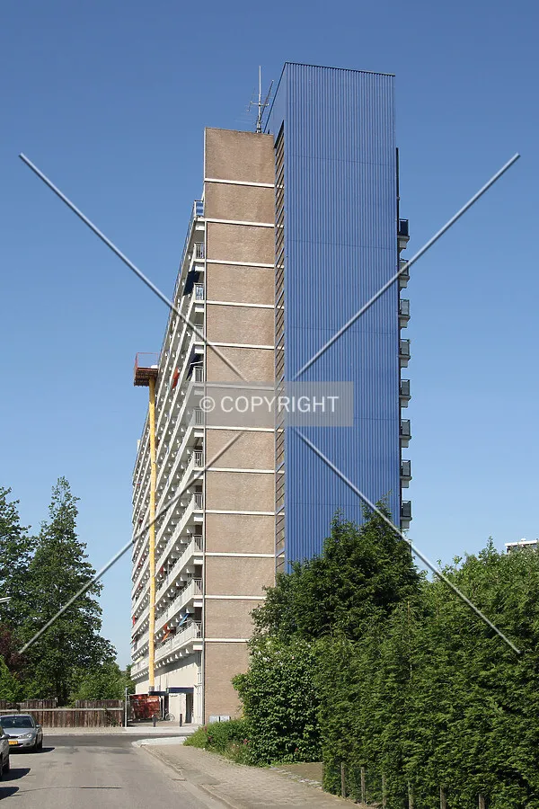 View from the east